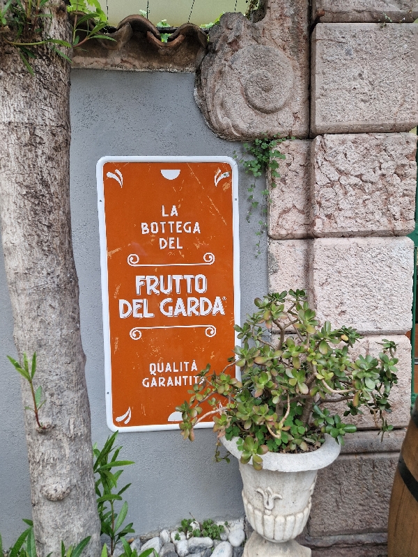 LAMIERA (fruttodelgarda). Lamiera smaltata monofacciale