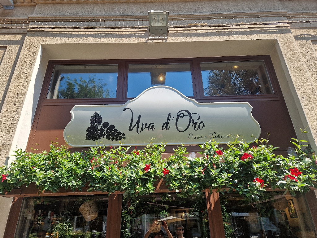 LAMIERA (uva d'oro). Sopravetrina in Lamiera Smaltata